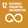 Sustainable Development Goal 12